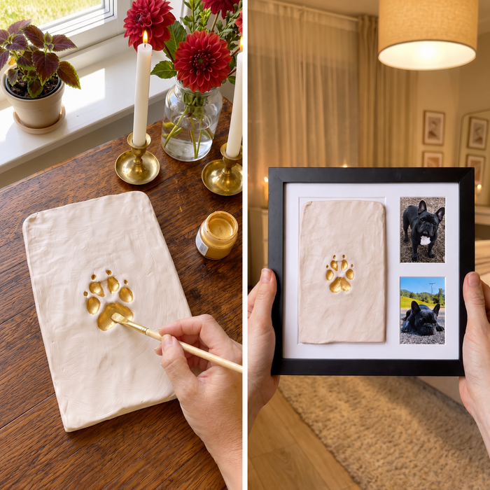 Paint & frame