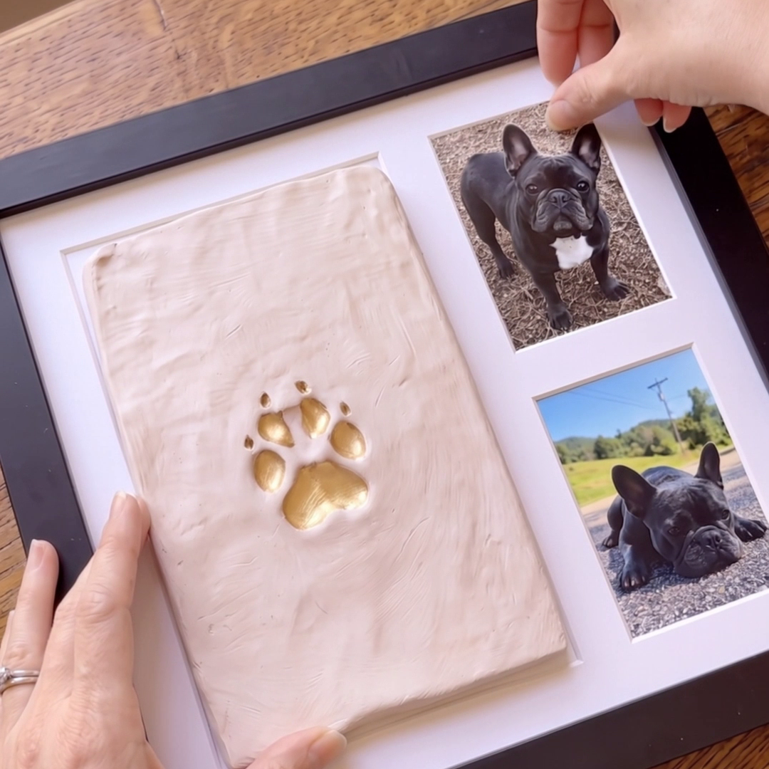 One day, those little paws won't be so little.